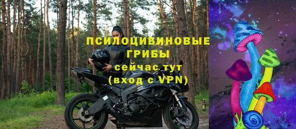 2c-b Белокуриха